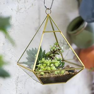 Usine de vente en gros de boîte de terrarium géométrique en verre pour la décoration de table d'affichage de fleur de plante succulente - Product Image 1