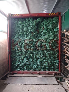 Disposable Eco-Friendly Mexican Thread Wooden <b>Broom</b> <b>Handle</b> Italian Screw Sanding Direct From Vietnam Manufacturer - Product Image 6