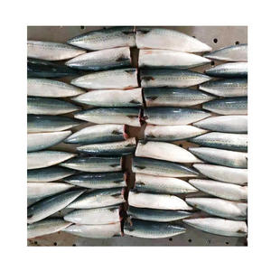Nuevo Pescado Atún Congelado HGT en Lata a Precio Razonable - Product Image 6