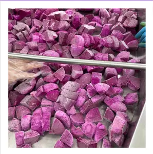 冷凍トロピカルフルーツ-ベトナムの赤または白の冷凍ドラゴンフルーツ熱農業製品有機栽培