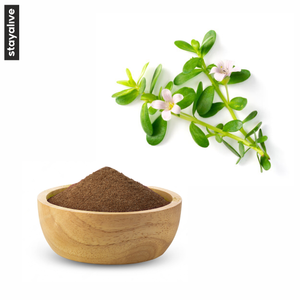 Extrait de plante 100 % pur et naturel |   Poudre de Brahmi |   Poudre de Bacopa Monnieri |   Végétalien |   Améliorer naturellement les fonctions cognitives - Product Image 2