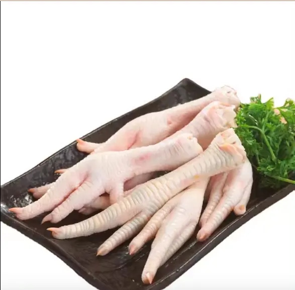 ISO Premium Discounts Wholesale Halal Frozen Whole Chicken, Chicken Feet, Paws Frozen Chicken Paws Chicken for sale in China