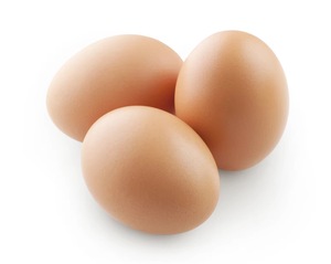 Huevos de Gallina Fértiles para Incubar/Huevos Frescos de Gallina para Consumo/Huevos de Codorniz - Product Image 6