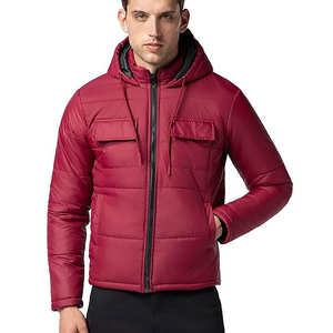 Veste matelassée pour homme, coupe-vent et imperméable, élégante, pour l'hiver, logo personnalisé, vestes directes d'usine, demande de Noël - Product Image 1