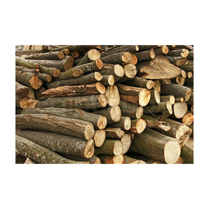 Grumes de charme de qualité supérieure fournies en vrac pour les industries du meuble et des revêtements de sol - Product Image 5