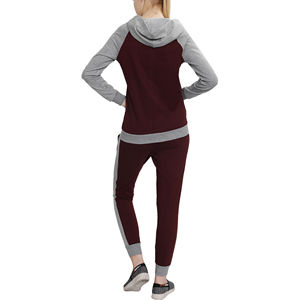 Pantalon de survêtement et sweat à capuche ensemble survêtement femmes deux pièces pantalon Jogging ensemble femmes 2024 personnalisé femmes survêtement costumes - Product Image 2