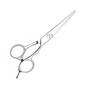 BSZ SURGICO Salon professionnel cisailles de coiffeur 440C ciseaux de coupe de cheveux en acier inoxydable outils tranchants Salon en acier inoxydable - Product Image 2