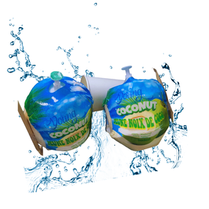 Hydratation naturellement rafraîchissante, noix de coco fraîche pelée - Produit agricole de première qualité - Product Image 1