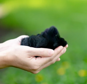 Premium Green Vista Recycled <b>Polyester</b> <b>Fiber</b> Hollow High Tenacity 3D Crimp Low Shrinkage Raw Industrial Wholesale Applications - Product Image 5