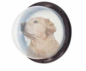 โดมหน้าต่างรั้วอะคริลิคสำหรับสุนัข2025พอร์ทัลการดูที่ปลอดภัยและมีสไตล์สำหรับสัตว์เลี้ยง - Product Image 3