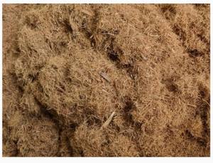 ใยมะพร้าวธรรมชาติ คุณภาพสูง สำหรับทำสวน ทำฟาร์ม พร้อมส่งออก - Product Image 2