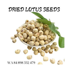 2024 VIETNAM Semillas de loto secas de alta calidad Puro y limpio para beneficios de salud Económico - Product Image 5