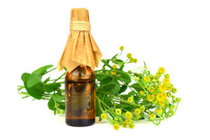 Huile essentielle de Costmary de qualité supérieure thérapeutique en gros en vrac avec un bon prix 100% huile essentielle de Costmary pure Inde - Product Image 5