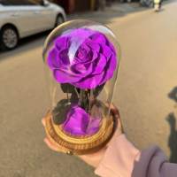 Roses éternelles préservées en dôme de verre avec lumières LED pour la Saint-Valentin, cadeaux d'anniversaire, décoration romantique pour la maison
