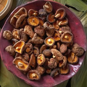 Hongos Shiitake secos (hongo Pasania, shii take) - Product Image 1