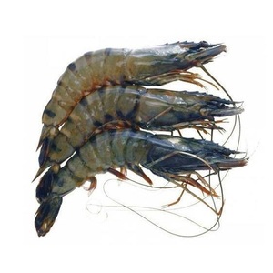 กุ้งลายเสือดำแช่แข็งคุณภาพสูง / กุ้งน้ำจืด / กุ้งแช่แข็ง - Product Image 5