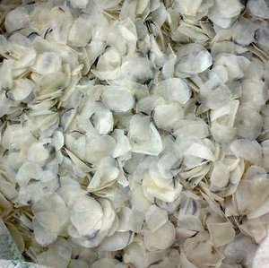 ÉCHELLE DE POISSON SÉCHÉ NOIR TILAPIA 100% SÉCHÉ AU SOLEIL-ÉCHELLE DE POISSON PROPRE-ÉCHELLE DE POISSON OSSEIN BARRAMUND-LAVÉ À L'EAU CLAIRE CHAUDE DONNA - Product Image 1