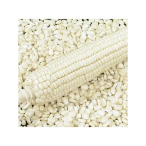 Maïs blanc en vrac fourni aux acheteurs commerciaux avec une livraison constante et une qualité supérieure - Product Image 6