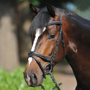 Bande de front de bride de cheval de haute qualité avec le cristal de concepteur - Product Image 6