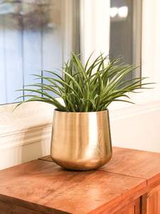 Exclusiva maceta de latón hecha a mano para uso en interiores o exteriores diseñada con patrones intrincados y artesanía superior - Product Image 3