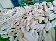 Hueso de Sepia de Grado de Exportación - Origen Vietnam, Calcio Natural, Alimento Animal para Aves y Mascotas |   Empaque en Blister de la Marca VIETSEAFARM - Product Image 4