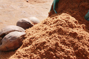 Bloque de Turba de Coco Hecho en Vietnam, 0.5 kg, Briquetas de Turba de Coco para Plantas - Product Image 6