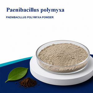 Poudre de Paenibacillus Polymyxa en gros, 10 milliards d'UFC/g, Biofertilisant, Conditionneur biologique du sol, Direct usine - Product Image 1