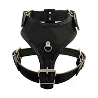 Conjunto de Arnés de Lujo para Perro, Tallas S/M/L, Nailon y Cuero, Arnés, Collar y Correa Ecológicos y Duraderos, Proveedor Mayorista