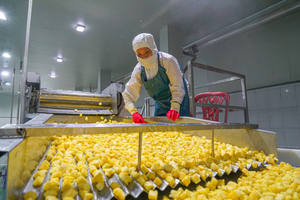 Ananas en conserve de haute qualité au meilleur prix, en sirop léger - 3 kg / Hazel par Viet Delta, durée de conservation de 3 ans, prêt à consommer - Product Image 1
