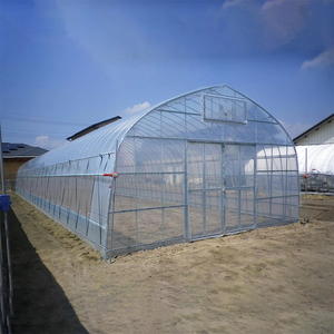 Serre agricole à simple travée avec structure en acier et couverture en film plastique pour la culture des légumes - Product Image 4