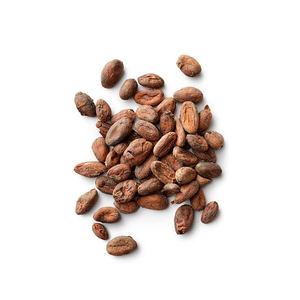 Fèves de cacao séchées de qualité/fèves de cacao - Product Image 2