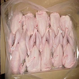 Poulet entier congelé halal de haute qualité |   Poulet entier de qualité supérieure, emballé sous vide, origine américaine, approvisionnement en gros - Product Image 3