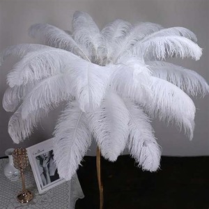 Fournisseur de plumes en gros pleine grandeur 25-30cm plumes d'autruche vert foncé naturel pas cher pour la vente d'artisanat - Product Image 1