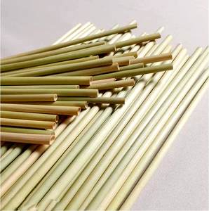 Vendedor caliente 2025 pajitas de hierba ecológicas/Eco2go Vietnam con producto pajitas de hierba desechables ecológicas - Product Image 2