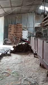 Gran oferta de palitos de bambú de alta calidad para Palitos de incienso con precio barato/palitos de Vietnam naturales bambú a granel - Product Image 3