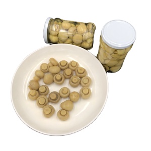 Certificación ISO 400g Champiñones enlatados Estilo fresco Marrón EE. UU. Sabor picante Proceso de conservación de salmuera Lata (enlatada) 3 años de vida útil - Product Image 3