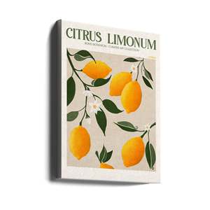 Golden Citrus Delight Patterned <b>Plant</b> Collection - Product Image 1