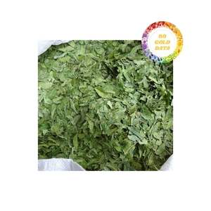 Feuilles de neem séchées de qualité supérieure disponibles dans des emballages en vrac adaptés à la vente en gros et au détail de l'industrie alimentaire - Product Image 1