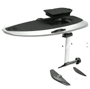 MEJOR CALIDAD Entrega a la puerta para Listo para enviar Flyer ONE E-Foil - Electric Hydr-ofoil Surfing - Product Image 1