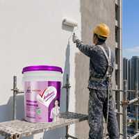 Peinture murale extérieure nano inorganique, revêtement en latex imperméable, silic...