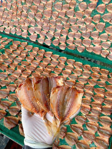 Marché du poisson séché : Fournisseur de poisson séché, thon jaune rayé, fruits de mer du Vietnam, vacances - Product Image 6