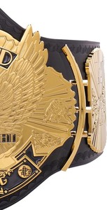 ¡CINTURÓN DE CAMPEÓN PERSONALIZADO! Cinturón de Campeonato de Lucha Libre NEW WORLD 2025 - Product Image 3