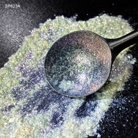 Sheenbow-Pigment à effet de poudre scintillante à meilleur prix pour Nail Art