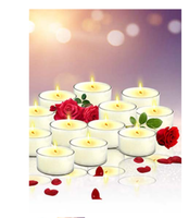 Désodorisants solides Satya Rose T-Lite, parfum naturel à 80%+, pour la relaxation, l'aromathérapie, une ambiance romantique à la maison ou au bureau, fabriqués en Inde