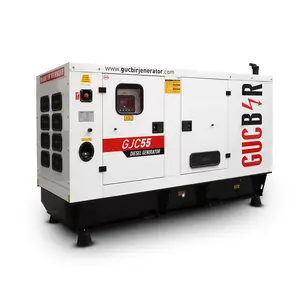 55 kVa 44 kW Diesel Electric Generating Set with Customization Options Alternators Canopies Single Phase Three Phase 50 Hertz