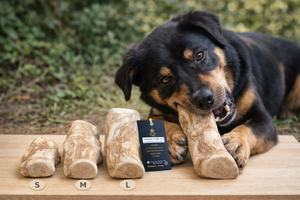 Jouet à mâcher pour chien en bois de café Gorilla - Naturel - Sans éclats - Jouet à mâcher pour les mâchoires agressives - Fabriqué au VIETNAM HOANG LINH SG Kimy - Product Image 3