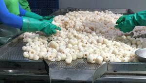 Lichi congelado a granel de Vietnam, fruta congelada IQF de exportador de productos agrícolas - Product Image 3
