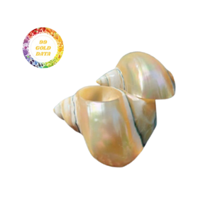 Servilleteros de concha marina bellamente elaborados, decoración hecha a mano de Vietnam para mesas de comedor, bodas y eventos en la playa - Product Image 2