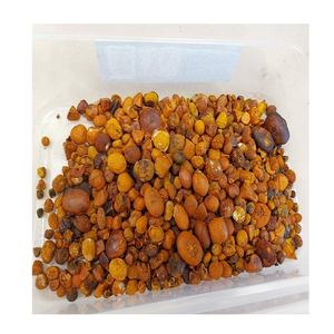 Cálculos Biliares de Vaca Secos / Cálculos Biliares de Buey / Cálculos Biliares de Ganado - Product Image 1