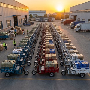 <span class=keywords><strong>Tricycle</strong></span> électrique robuste modèle King Kong à 2 places, <span class=keywords><strong>pliable</strong></span>, pour passagers et marchandises, destiné au marché du Moyen-Orient - Product Image 3